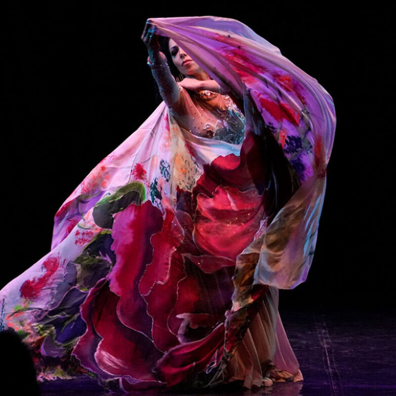 serena_boselli_bellydancer_cont14
