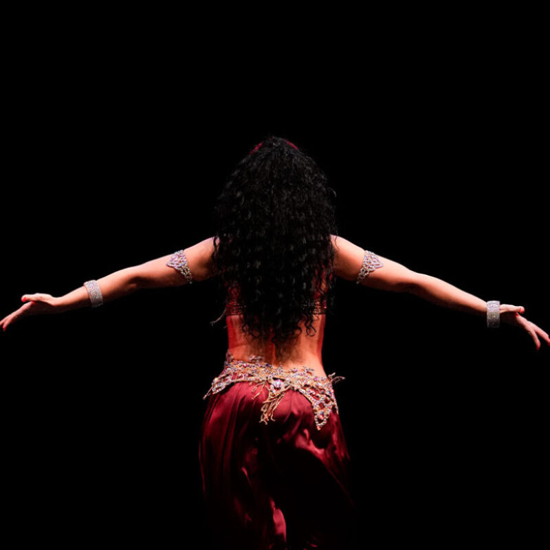 serena_boselli_bellydancer_cont15