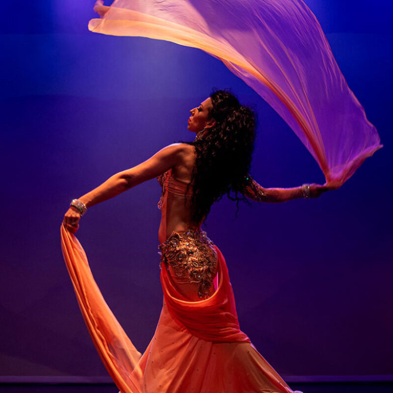 serena_boselli_bellydancer_cont16